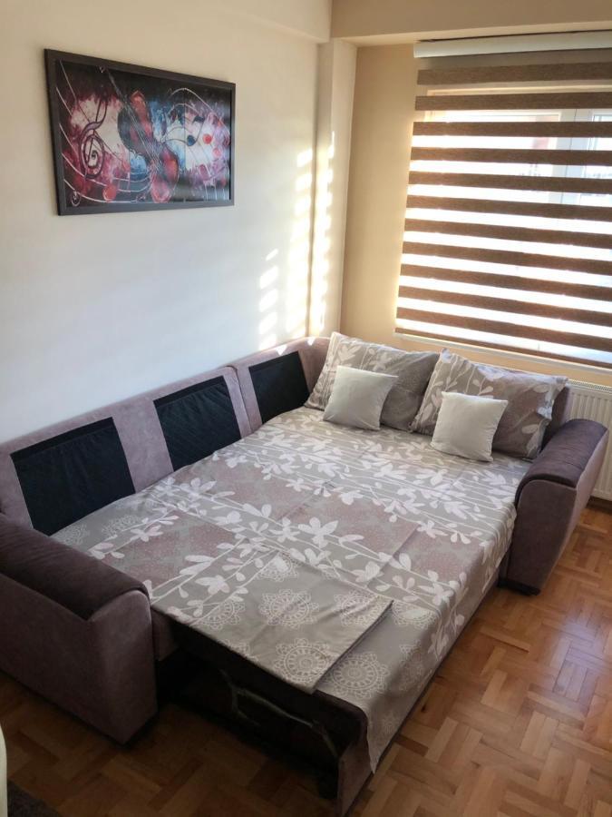 Mirkovic Lux *